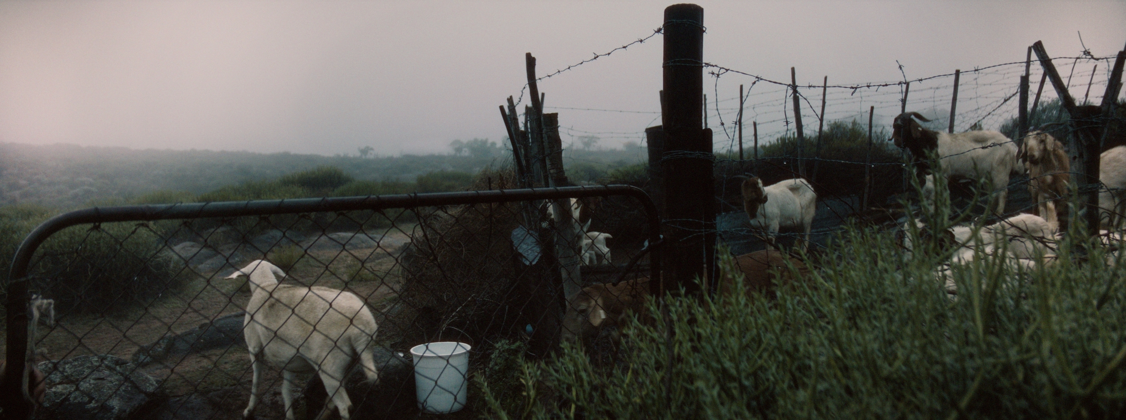 Variations on a Theme